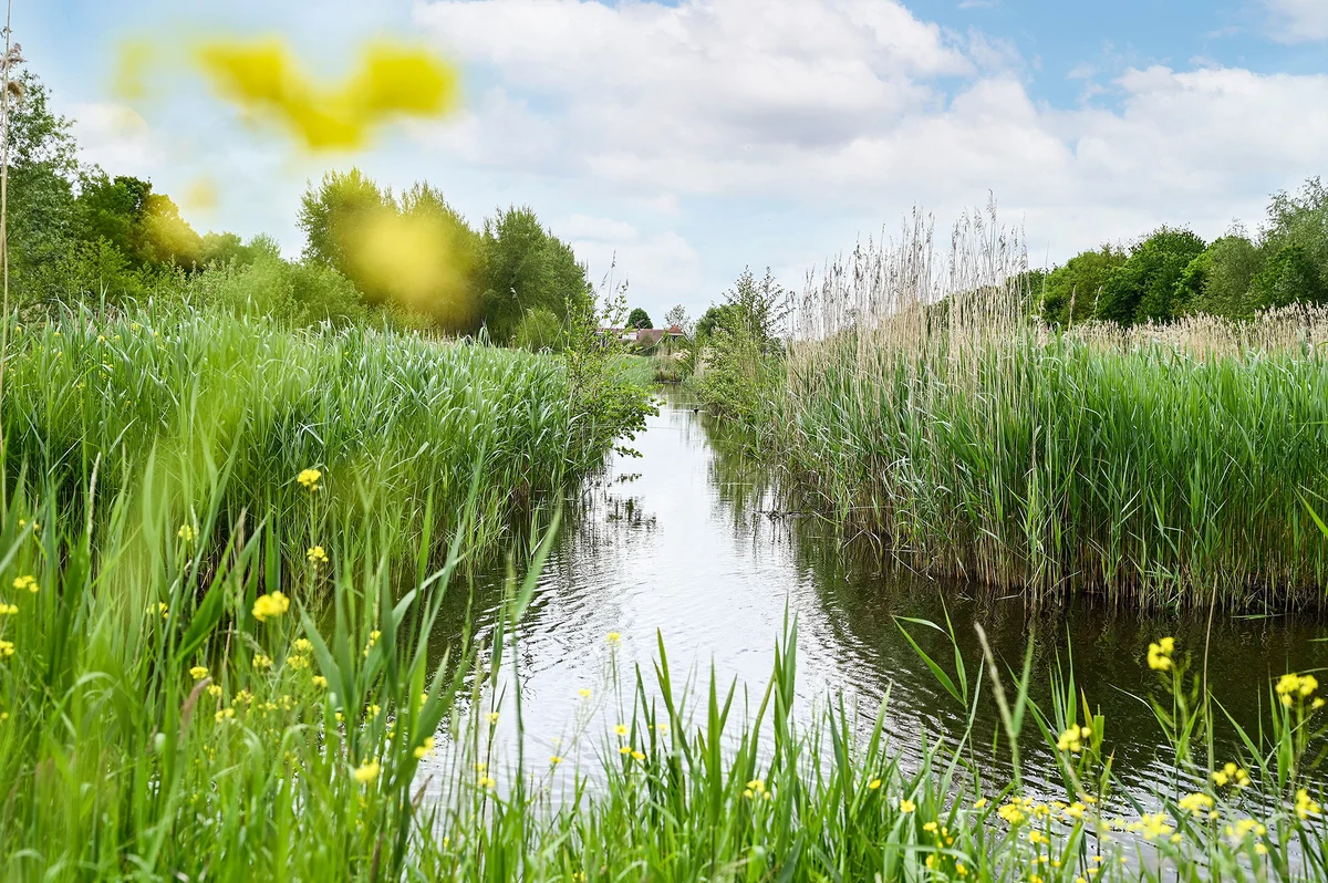 Oosterland in beweging
