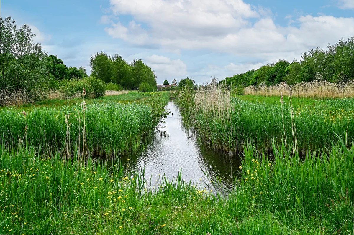 Mijdrecht: van veenriviertje tot levendig dorp, een reis door de tijd