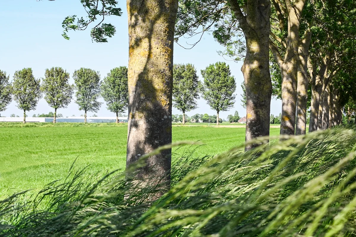 Buslijn 121 rijdt vanaf eind 2027 door Oosterland