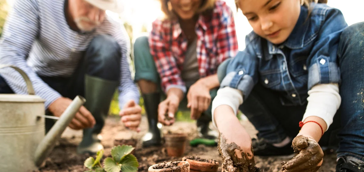 Voorjaar in je nieuwbouwtuin: zo begin je goed