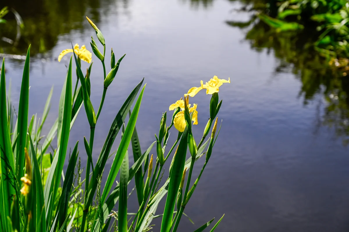 Het landschapspark: de groene long van Oosterland